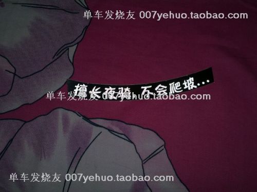 Décoration pour vélo - Ref 2284439