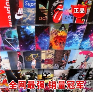 Décoration pour vélo - Ref 2285351