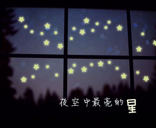 Décoration pour vélo - Ref 2289525