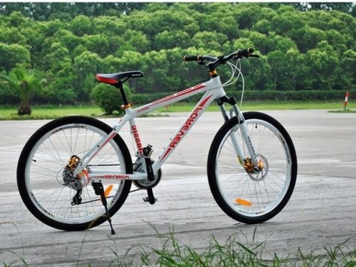 Décoration pour vélo - Ref 2289981