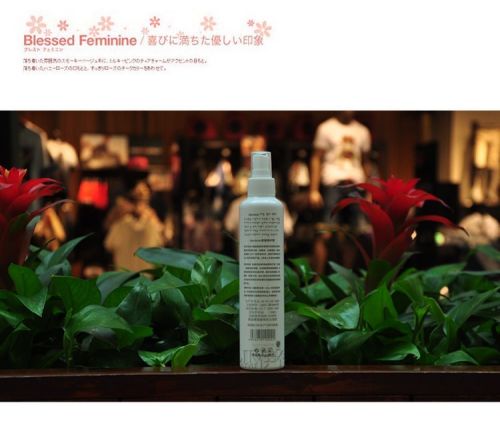 Entretien pour perruques - Ref 266662