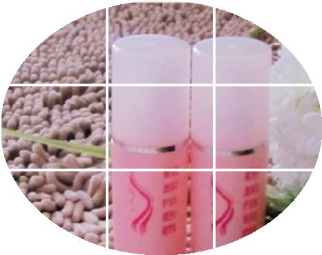 Entretien pour perruques - Ref 270402