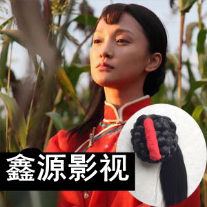 Extension cheveux - Chignon - Ref 228647