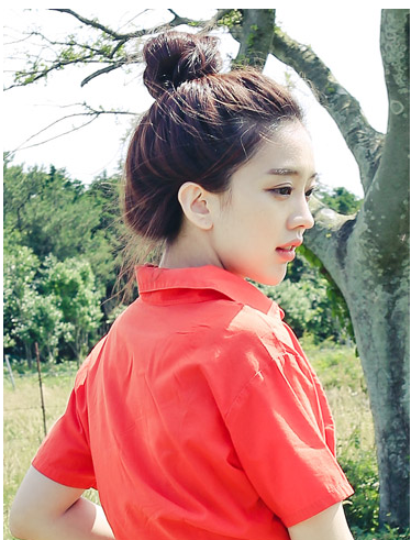 Extension cheveux - Chignon - Ref 228671