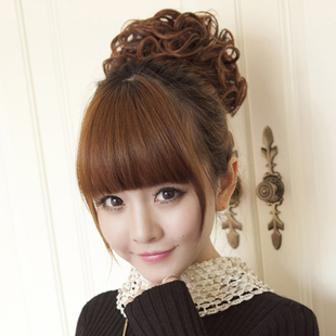 Extension cheveux - Chignon - Ref 228746