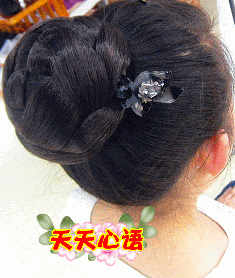 Extension cheveux - Chignon - Ref 229670