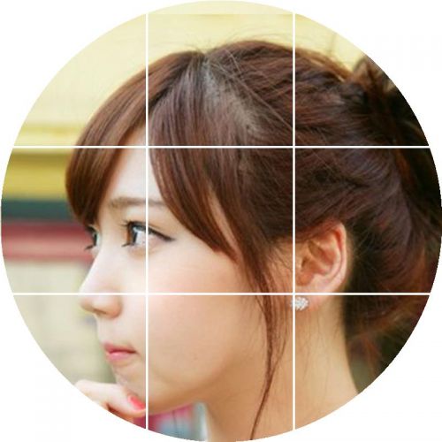 Extension cheveux - Chignon - Ref 231142