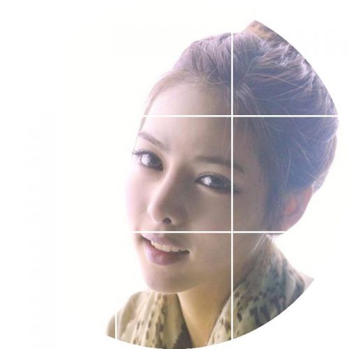 Extension cheveux - Chignon - Ref 231199