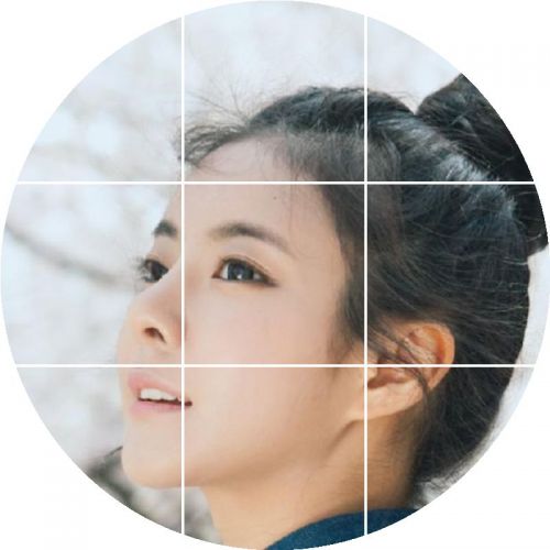 Extension cheveux - Chignon - Ref 231609