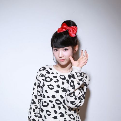 Extension cheveux - Chignon - Ref 231903