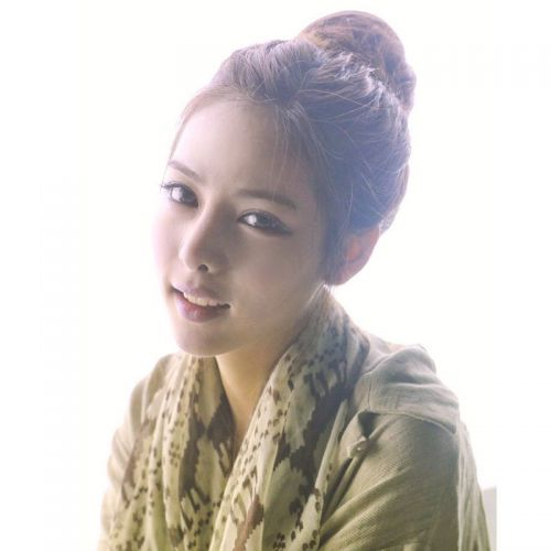 Extension cheveux - Chignon - Ref 232155