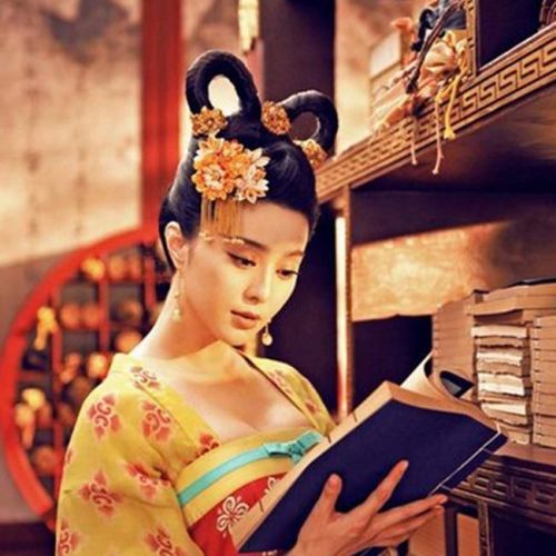 Extension cheveux - Chignon - Ref 233058