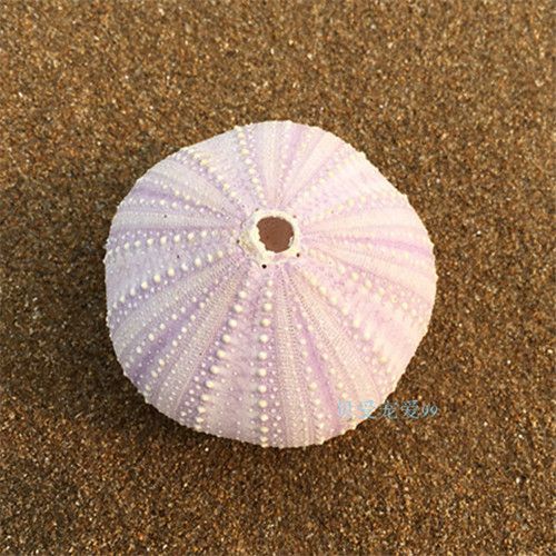 Extension cheveux - Chignon - Ref 233146