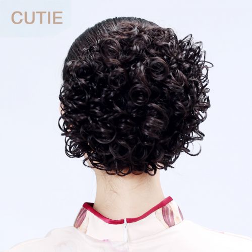 Extension cheveux - Chignon - Ref 234838