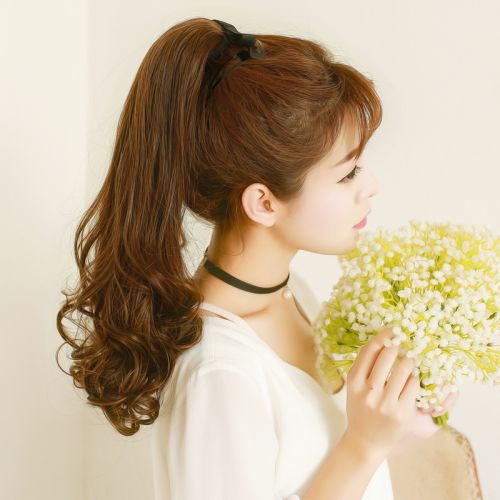 Extension cheveux - Chignon - Ref 235168
