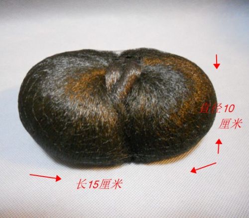 Extension cheveux - Chignon - Ref 235583