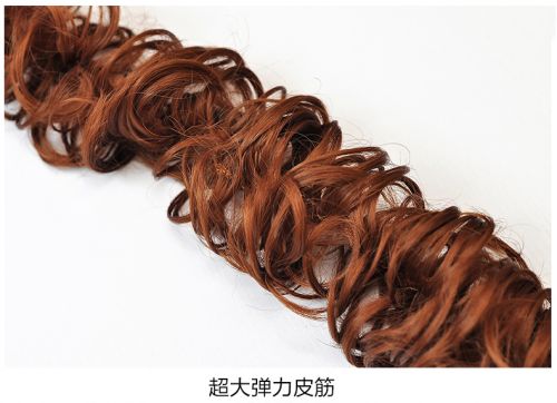 Extension cheveux - Chignon - Ref 236755