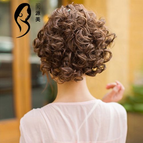 Extension cheveux - Chignon - Ref 237995