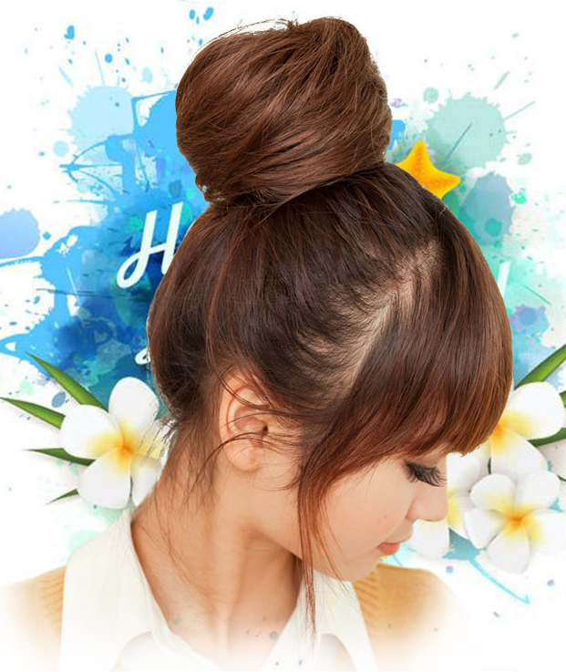 Extension cheveux - Chignon - Ref 238003