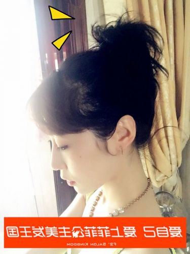 Extension cheveux - Chignon - Ref 238091