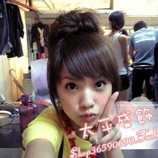 Extension cheveux - Chignon - Ref 239107