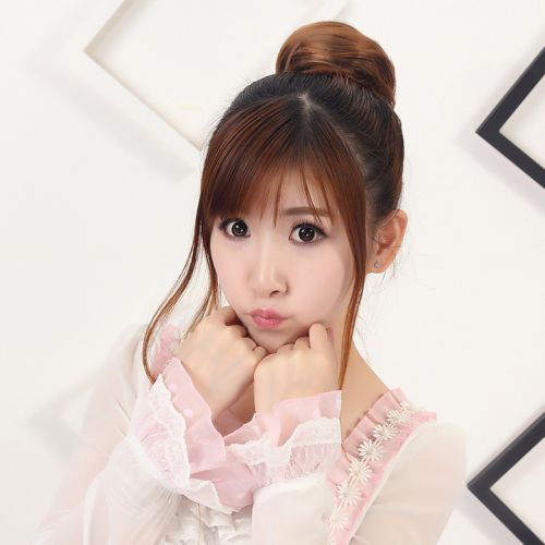 Extension cheveux - Chignon - Ref 240047