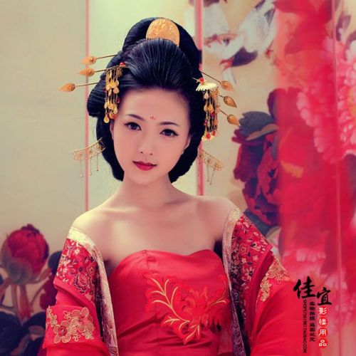 Extension cheveux - Chignon - Ref 241816