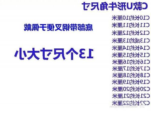 Extension cheveux - Chignon - Ref 242523