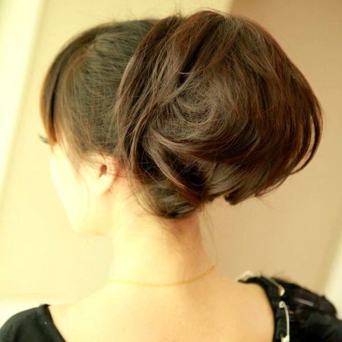 Extension cheveux   Chignon 245381