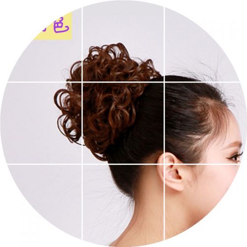 Extension cheveux   Chignon 245406