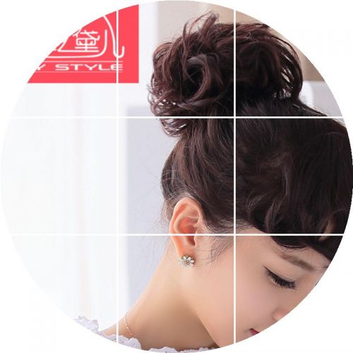 Extension cheveux   Chignon 246027