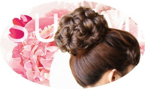 Extension cheveux   Chignon 246994