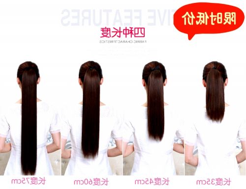 Extension cheveux - Queue de cheval - Ref 240792