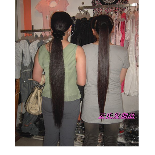 Extension cheveux - Queue de cheval - Ref 251819