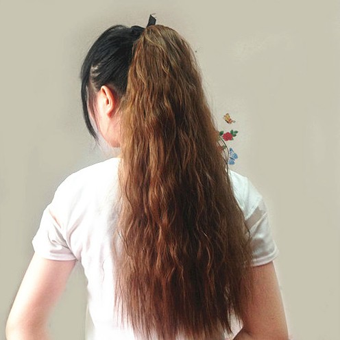 Extension cheveux   Queue de cheval 251954