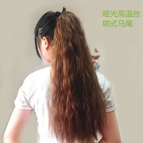 Extension cheveux   Queue de cheval 251991