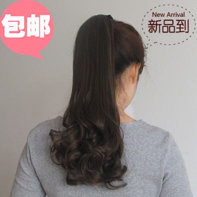 Extension cheveux   Queue de cheval 251996