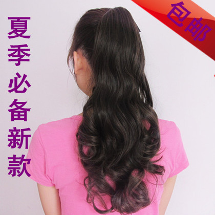 Extension cheveux   Queue de cheval 251997