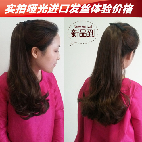Extension cheveux   Queue de cheval 251998