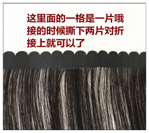 Extension cheveux - Ref 216896