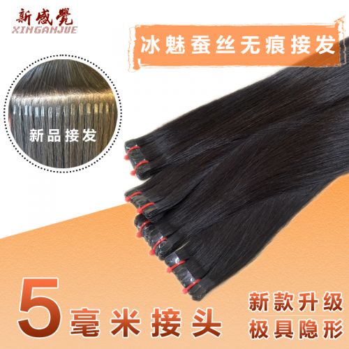 Extension cheveux - Ref 217089