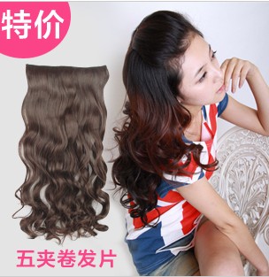 Extension cheveux - Ref 218200