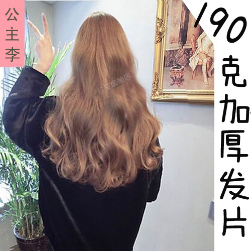 Extension cheveux - Ref 218527