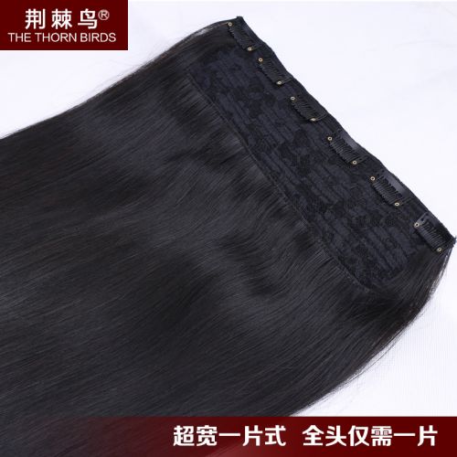 Extension cheveux - Ref 219201