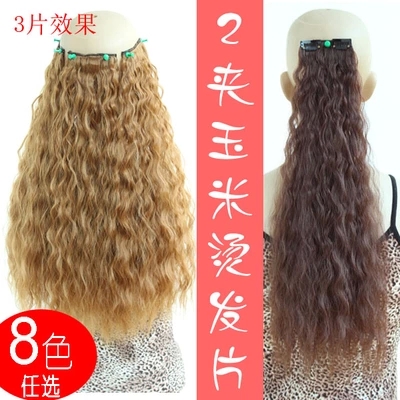 Extension cheveux - Ref 219411