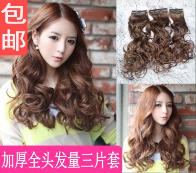 Extension cheveux - Ref 219894