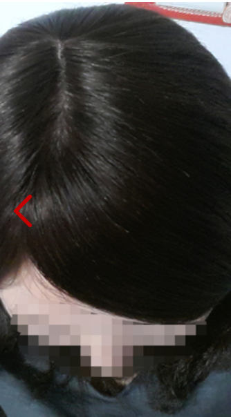 Extension cheveux - Ref 220213