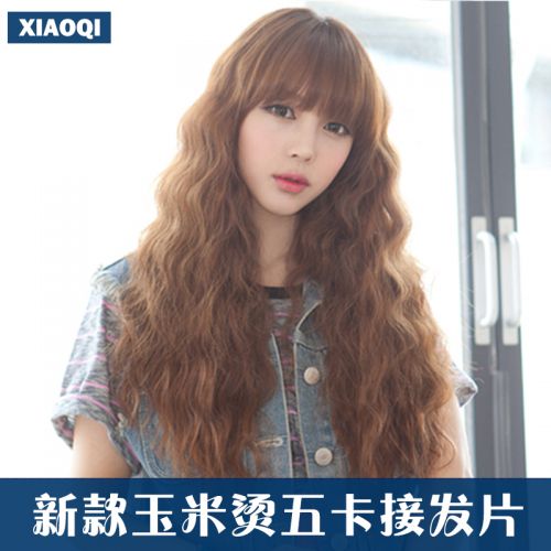 Extension cheveux - Ref 220503