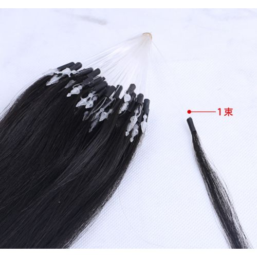 Extension cheveux - Ref 220977