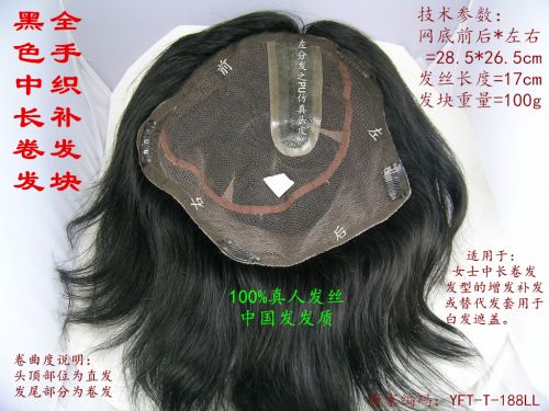 Extension cheveux - Ref 225100